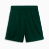 Image PUMA Shorts Palmeiras Jogador Third #2