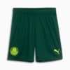 Image PUMA Shorts Palmeiras Jogador Third #1