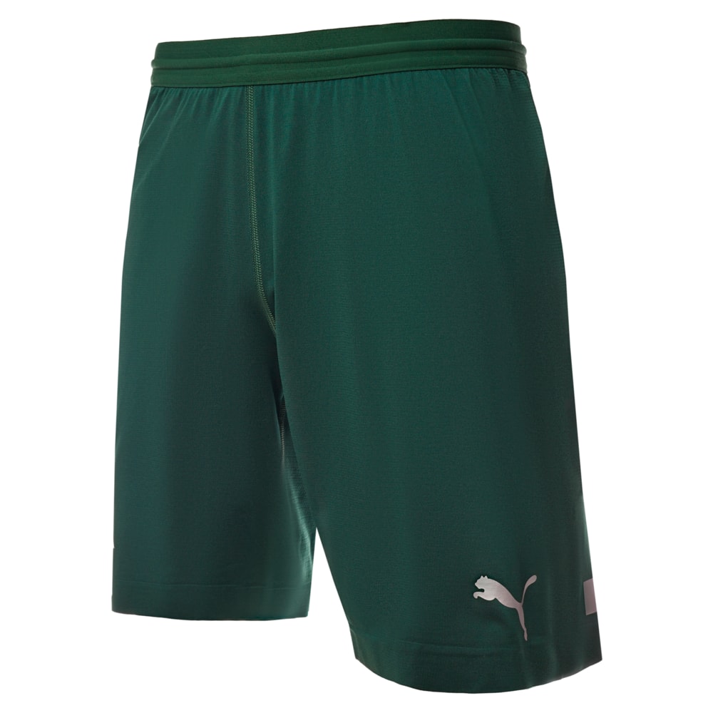 Шорты FC Krasnodar Promo Shorts