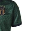 Italia Alternatif Erkek Forma Yesil Puma Puma Turkiye Resmi Alisveris Sitesi
