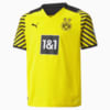 Image Puma BVB Home Replica Youth  Jersey #1