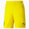 Изображение Puma Шорты BVB Replica Men's Football Shorts #1