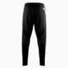 Изображение Puma Штаны NAVI x PUMA 2024 Pro Kit Pants #2: Puma Black