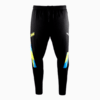 Изображение Puma Штаны NAVI x PUMA 2024 Pro Kit Pants #1: Puma Black