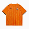 Изображение Puma Джерси FCSD Home Shirt Replica #1: GOLDEN POPPY-Puma Black