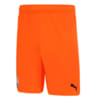 Изображение Puma Шорты FCSD Shorts Promo #3: GOLDEN POPPY-Puma Black