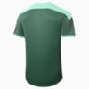 Image PUMA Camisa de Treino Palmeiras 2021 Masculina #2