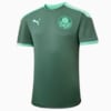 Image PUMA Camisa de Treino Palmeiras 2021 Masculina #1