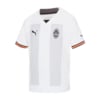 Зображення Puma Футболка FC Shakhtar Donetsk Third 22/23 Promo Jersey Men #1: Nimbus Cloud-Puma Black