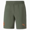 Изображение Puma Шорты FC Shakhtar Donetsk 22/23 Promo Shorts Men #6: Thyme-GOLDEN POPPY