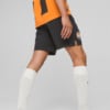 Изображение Puma Шорты FC Shakhtar Donetsk 22/23 Promo Shorts Men #2: Puma Black-GOLDEN POPPY