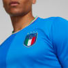 Görüntü Puma FIGC İtalya 22/23 Erkek İç Saha Forması #2