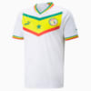 Image PUMA Camisa Senegal Home 22/23 Torcedor Masculina #6
