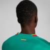 Image PUMA Camisa Senegal Away 22/23 Torcedor Masculina #4