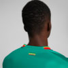 Image Puma Senegal Away 22/23 Replica Jersey Men #4