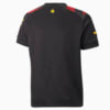 Image PUMA Camisa Manchester City F.C. II 22/23 Torcedor Juvenil #2