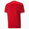 Image Puma Egypt Home 22/23 Replica Jersey Men #7