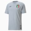 Görüntü Puma FIGC İtalya ftblCulture Erkek Tişört #6
