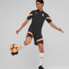 Изображение Puma Футболка FC Shakhtar Donetsk Football Pro Training Jersey Men #3: Puma Black-Neon Citrus