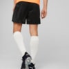 Изображение Puma Шорты FC Shakhtar Donetsk Football Training Shorts Men #2: Puma Black-Neon Citrus