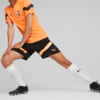 Изображение Puma Шорты FC Shakhtar Donetsk Football Training Shorts Men #3: Puma Black-Neon Citrus