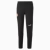 Зображення Puma Штани FC Shakhtar Donetsk Football Casuals Pants Men #6: Puma Black-Puma White