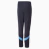 Image Puma Manchester City F.C. Football Training Pants Youth #2