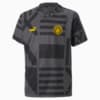 Image PUMA Camisa de Treino Manchester City F.C. Football Juvenil #1