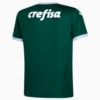 Image PUMA Camisa Palmeiras HOME 2022 Juvenil #2