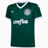 Image PUMA Camisa Palmeiras HOME 2022 Juvenil #1