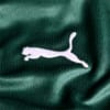 Image PUMA Camisa Palmeiras HOME 2022 Feminina #4