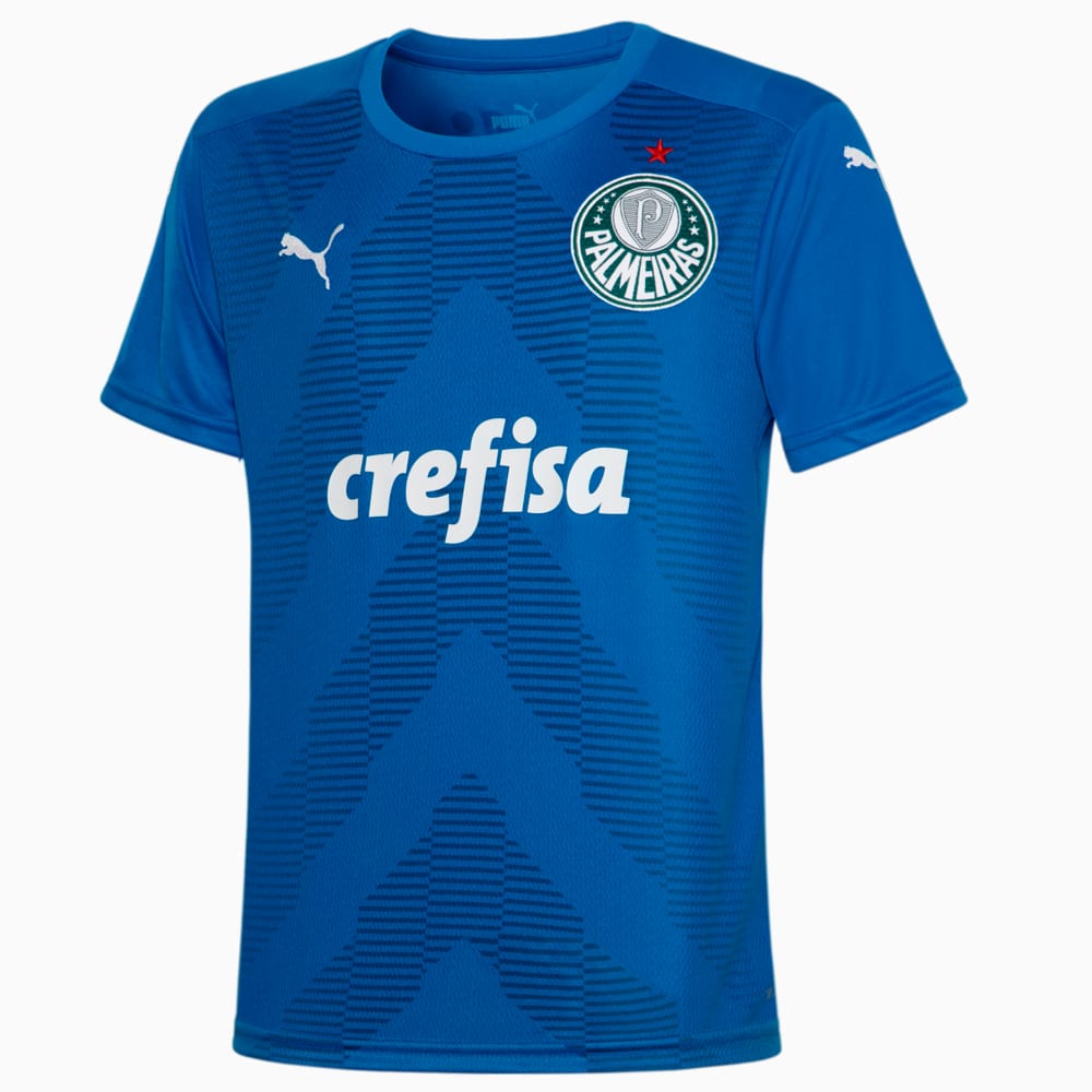 Image PUMA Camisa Palmeiras Goleiro HOME 2022 Juvenil #1