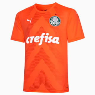 Image PUMA Camisa Palmeiras Goleiro THIRD 2022 Masculina