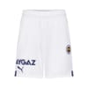 Görüntü Puma Fenerbahçe S.K. 22/23 Erkek Şort #1