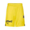 Görüntü Puma Fenerbahçe S.K. 22/23 Erkek Şort #6
