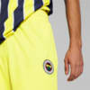 Görüntü Puma Fenerbahçe S.K. 22/23 Erkek Şort #2