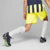 Görüntü Puma Fenerbahçe S.K. 22/23 Erkek Şort #3