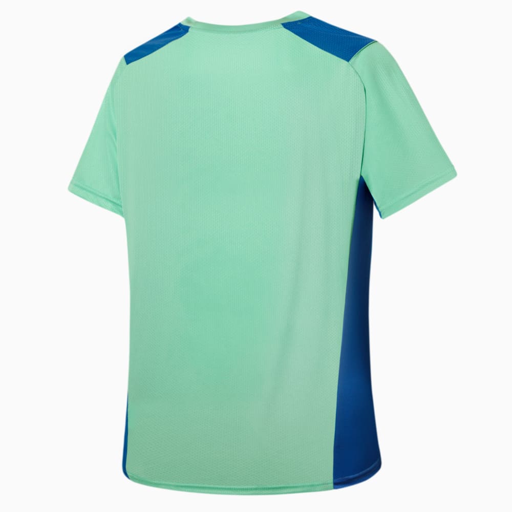 Image PUMA Camisa de Treino Palmeiras 2022 Juvenil #2