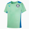 Image PUMA Camisa de Treino Palmeiras 2022 Juvenil #1