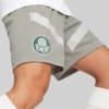 Image PUMA Shorts Treino Palmeiras #3