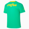 Image PUMA Camisa Palmeiras THIRD 2022 Masculina #2