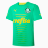 Image PUMA Camisa Palmeiras THIRD 2022 Masculina #1