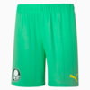 Image PUMA Shorts Palmeiras Third 22 #1