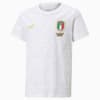Изображение Puma Детская футболка FIGC Graphic Winner Youth Football Tee #1