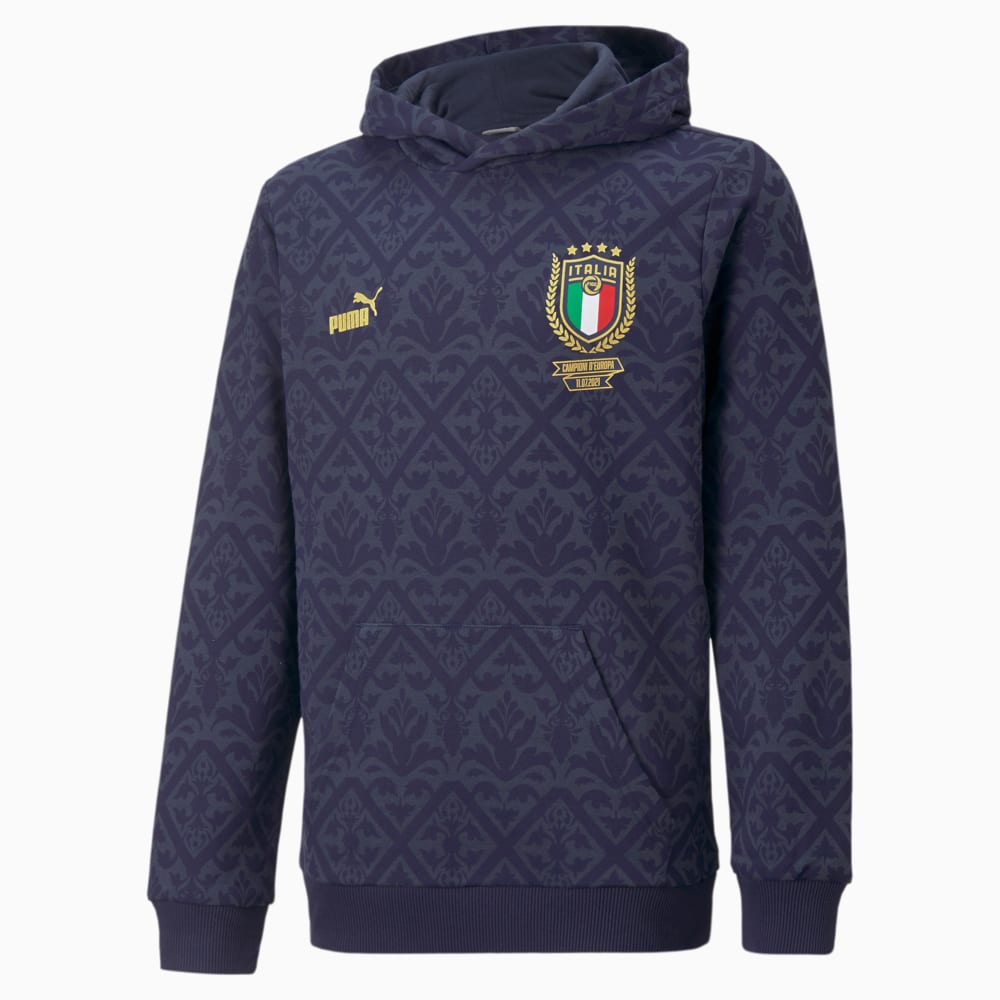 Изображение Puma Детская толстовка FIGC Graphic Winner Youth Football Hoodie #1