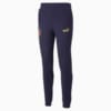 Изображение Puma Штаны FIGC Winner Men's Football Track Pants #1