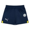 Görüntü Puma Fenerbahçe S.K. 22/23 Çocuk Üçüncü Forma #5