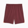 Image PUMA Shorts Manchester City Football #7