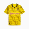Görüntü Puma BORUSSIA Dortmund 23/24 Erkek Üçüncü Forma #6