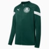 Image PUMA Jaqueta Treino Palmeiras #1